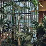 Jakarta Amsterdam